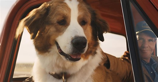 ¿Más conmovedora que 'Vaguito'? Esta nueva película en Netflix sobre un perro leal te romperá el corazón