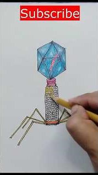 How to Draw a Bacteriophage/Virus/Microorganism/Microscopic Structure for Students/Easy/Step by step