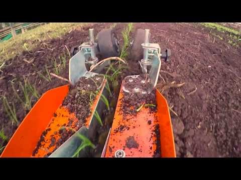 Terrateck - Shallot Paper Pot transplanter