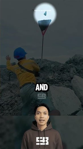 Worst Wasp Idea Ever