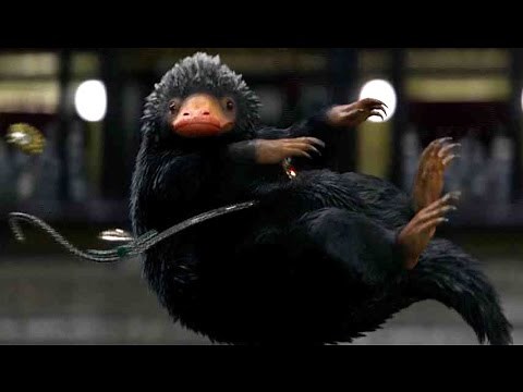 Meet the super cute magical creature Niffler! / Special video "Beast Edition" from the movie "Fan...