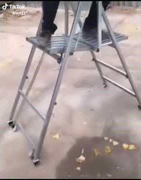 Walking Ladder