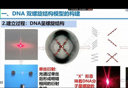 特等奖获得者《DNA的结构》全网最清晰的授课