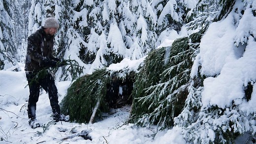 Three Days in the Frozen Forest: Building a Shelter to Survive Heavy Snow
