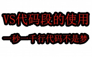 【Visual Studio系列】VS代码段的设置，一秒一千行代码不是梦