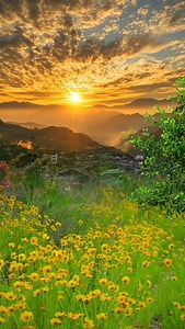 Abhishek Pandey on Reels