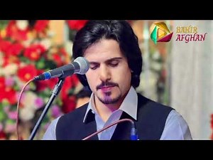 Javid Amarkhil | New Pashto Song 2025 | Official Video 🎶