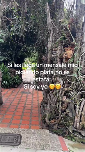 Videos de Daniel avisos (@danielavisos) con “sonido original - • Ｄａｖｉｄ •”