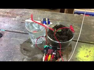 micro:bit plant watering