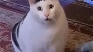 ⚡国外那些沙雕离谱搞笑瞬间⚡754