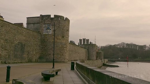 9.4K views · 114 reactions | A walk through Caernarfon. (For those who can't visit right now) Credit to Living Walks - https://bit.ly/39hAWzM | Black Boy Inn | Facebook