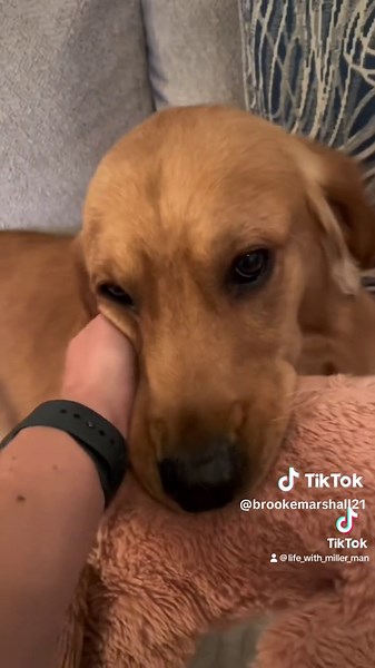 Brooke Marshall (@brooke.marshall_)’s videos with original sound - Brooke Marshall