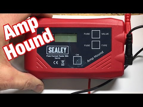 Amp Hound Cross Check