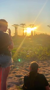 L’allée des baobabs SUNSET🌅❤️ #Madagascar ❤️❤️❤️🇲🇬🇲🇬🇲🇬 #OFISIALIZE #Morondava https://snd.click/0l7n https://youtu.be/8PPgaeUaf4A | Oladad madagascar