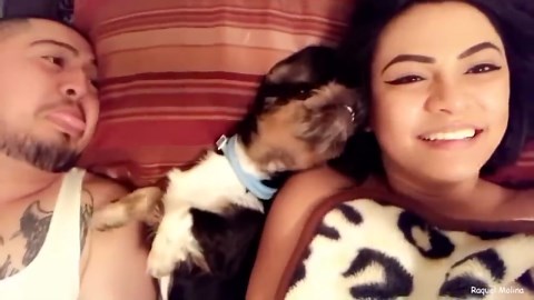 Dogs and their humans having the best time together