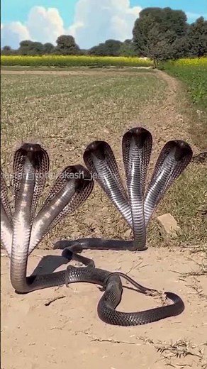 🐍 The emergence of a majestic, tri‑headed serpent coiled around Shiva’s trident