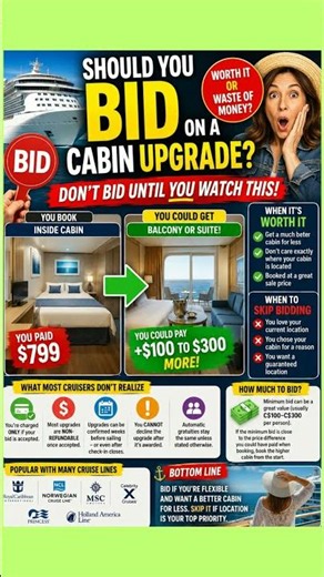 Cruise Cabin Upgrade Bids: Are They Really Worth It?.....BID OR DON'T?🚨 WHAT MOST PEOPLE DON'T KNOW