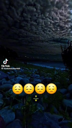 Mochapechocha3 (@mochapechocha3)’s videos with original sound - Mochapechocha3