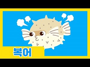 동글동글 통통 복어 🐡 | 물속 장기자랑 | 바다동물 | 자연관찰 | 바다생물 | 로티프렌즈 | LOTTY FRIENDS