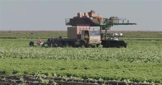 Farmworkers in Toppenish to receive payments from settlement