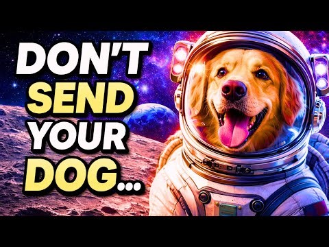 Can a Dog Survive on the Moon? (The Truth Will Shock You) #artemis #artemis2 #nasa