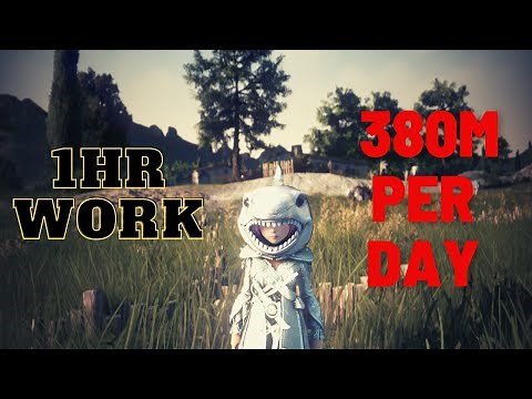 Farming Money Making | 380M per day | Black Desert Online