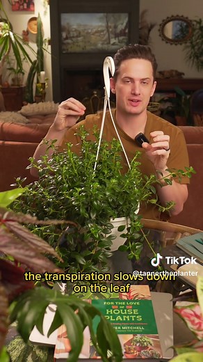 Understanding Plant Adaptations to Precipitation