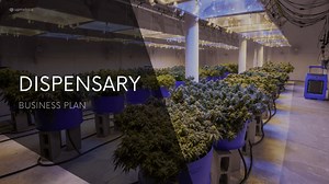 Dispensary Business Plan (HarborLeaf Dispensary)