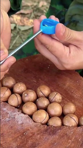 Master This Clever Trick To Crack Macadamia Nuts Quickly And Easily
