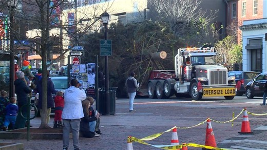 The holiday spirit: Portland's Christmas tree is now in place