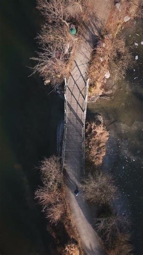 Instant Calm with Winter Snowstorm 💤 #sleep