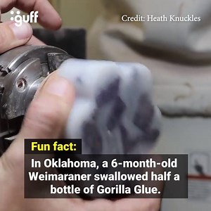 5.2M views · 457 reactions | It's hard to explain... just watch | Guff | Facebook