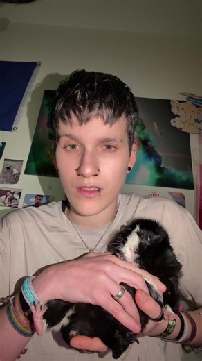 👽🌏 #lesbian #0201❤️ 🌈 #alien #meerschweinchen #kämpferinalien🛸 🪐