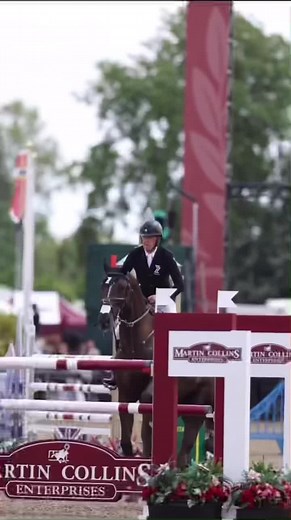 Understanding the World of Equestrian Racing and the Horrors of Horse Abuse