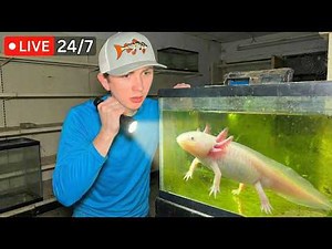 Bass Fishing Productions Live // January 27th Stream Highlights