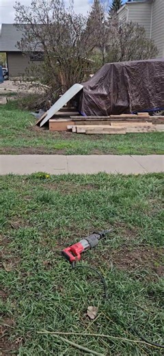 taking down a big bush hoping the tenant will haul it away Steamboat Springs