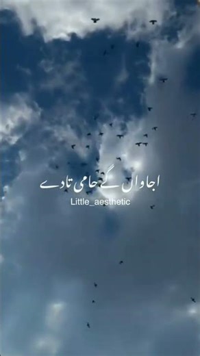 Je Tere Nai Kisi De Nai Aa Java Ge Hami Ta De