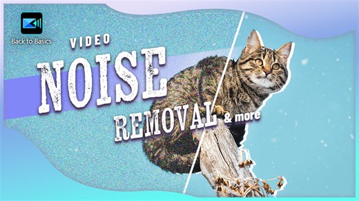 Video Stabilizer, Denoise, AI Video Enhancement & More