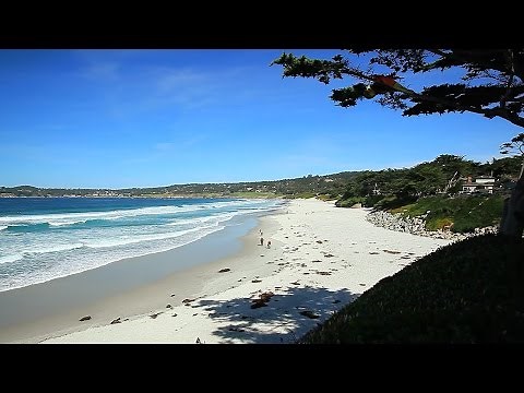 Famous Carmel Beach