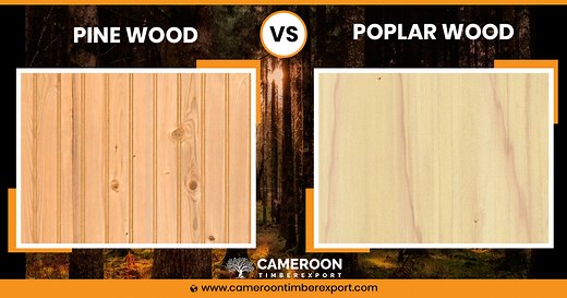 Pine vs Poplar Wood: 5 Key Differences Everyone Should Know About