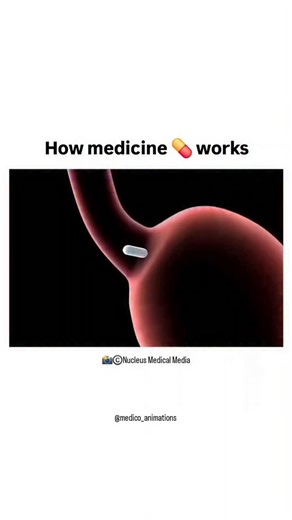 medical_animation on Instagram: "How medicine works in your body Amazing Animation ❤️ by "Nucleus Medical Media" Link to watch full video on Youtube channel 👇 https://youtu.be/mH81Q9Dtodc?si=vD4N-afQodVRYjkN"