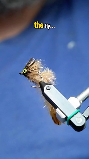 Brian Smith on Instagram: "Game Changer Fly Pattern! Go follow @blanechocklettfishing Hook: @AhrexHooks NS172 size 4 Thread: @veevusFishing 12/0 Tail and hackle: Whiting hen Shanks: Spawnflyfish Body: Fulling Mill Changer Brush Eyes: Fulling Mill 3mm Resin: UV Craft Tools: TheFlySmith #TheFlySmith #Veevus #flytying #magpieturkeybiots #magpiefinebeaverdubbing #whitingfarms #naturesspiritflytying #lidrig #fly #flytyingjunkie #flytyingtutorial #flytyingaddict #flytok #satisfying #flytyingnation #fy