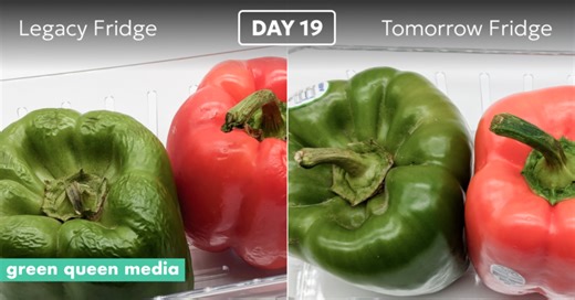 This AI-Powered Food Waste Fridge Was Designed for Eco-Minded Millennials