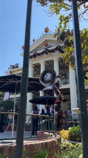 How Disney Makes Cobwebs 🕸️🕷️ • Video Credits waltdisneyimagineering TheWebCasterGun • #disney #disneyland #hauntedmansion #hauntedmansionholiday #haunted #hauntedhouse #halloween #specieleffect #disneysecrets #behindthemagic #disneymagic #webcaster #webcastergun #moviesets #setdesign #disneylandresort #towerofterror #cobwebs #spiderwebs | Nostalgiamountain