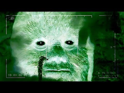 WE'RE GONNA CATCH BIGFOOT