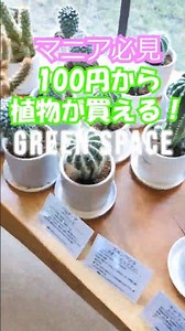 【必見】100円から植物が買える⁉️IT企業の穴場スポット🌱