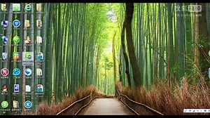 swf转avi和mp4格式转换器