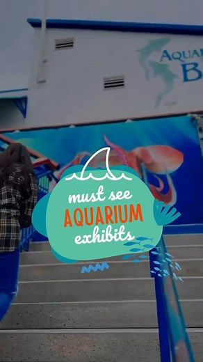 12 reactions | Dive into an aquatic adventure like no other! ...