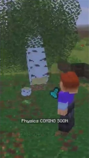 Real Physics in Minecraft? 🤯 🧱