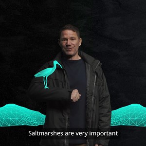 Add your name to show you care about the UK's natural habitats. In return, WWF and Sky will send you FREE poppy seeds and are also planting carbon-capturing seagrass seeds in UK waters. Together we can bring nature back. | WWF UK